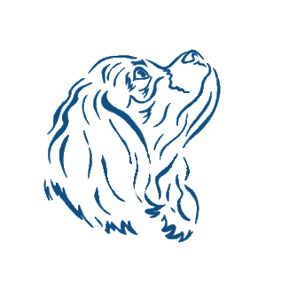 Windgate Cavaliers